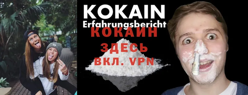 Cocaine Боливия  наркотики  Духовщина 